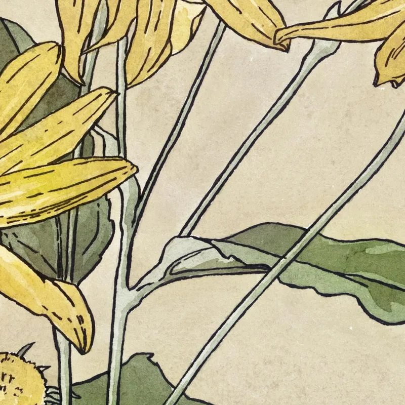 Sunflowers Hannah Borger Overbeck