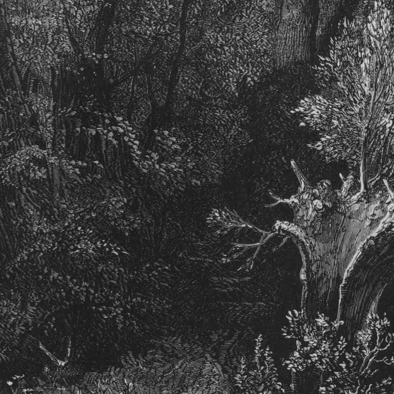 Cuentos De Hadas Pl 06 Doré Gustave