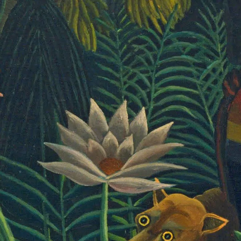 Il Sogno Henri Rousseau
