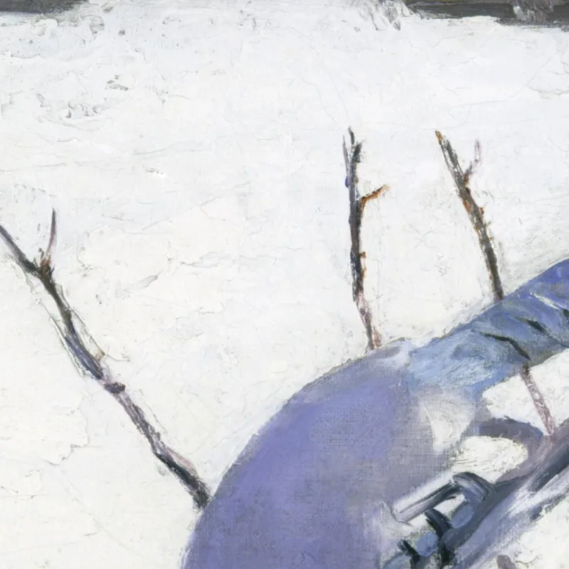 Los Arrendajos Azules Estudian En Invierno Para Un Libro Que Oculta La Coloración En El Reino Animal Abbott Handerson Thayer cua