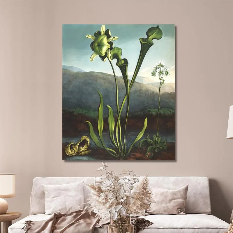 Plantas De Pantano Americanas Del Templo De La Flora Robert John Thornton