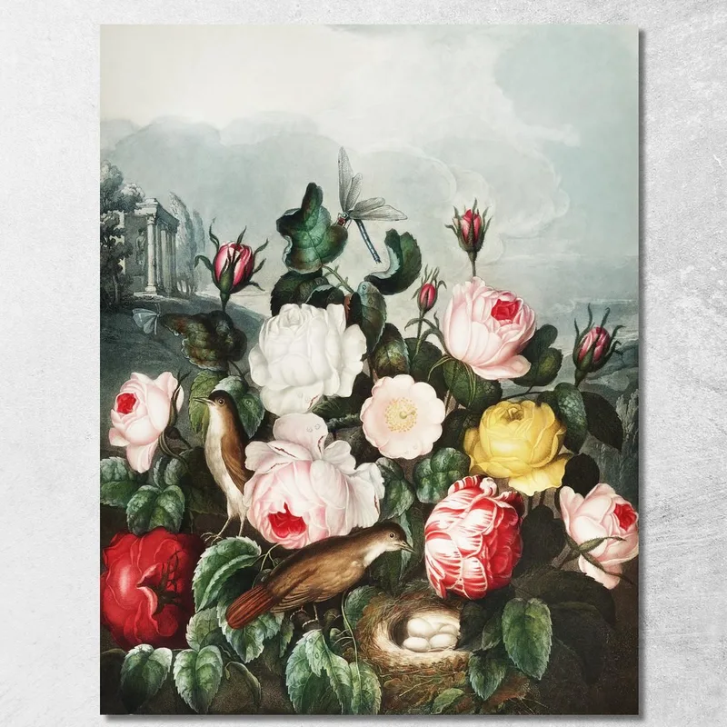 Rose Dal Tempio Di Flora Robert John Thornton quadro stampa su tela