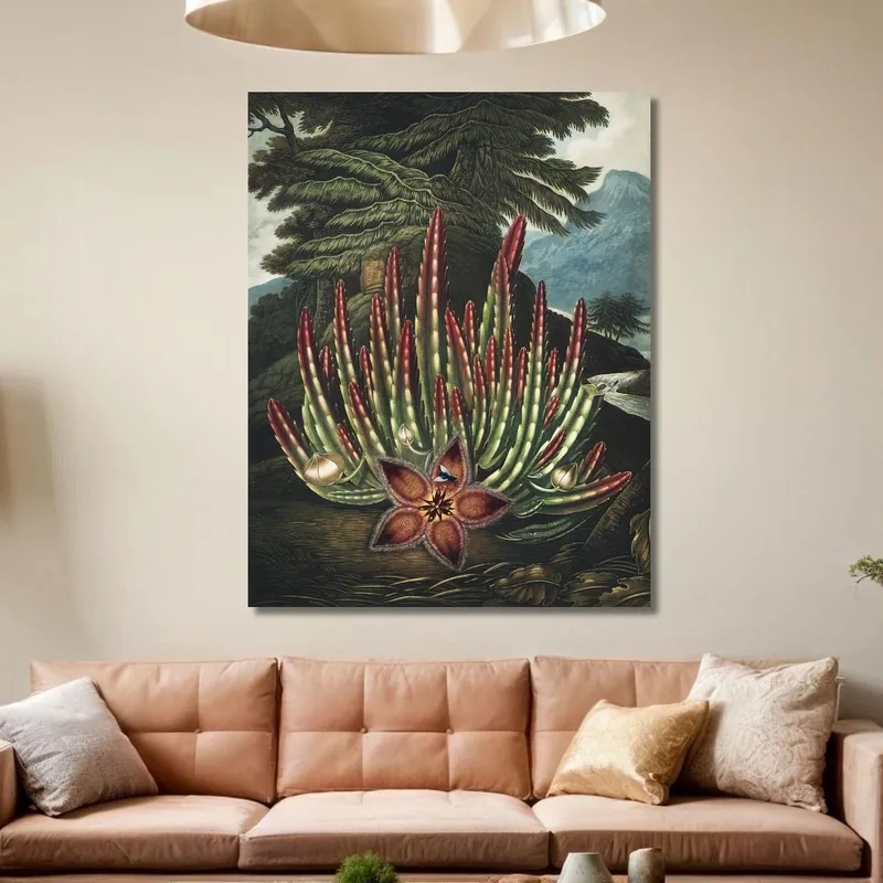 Le Stapelia Porteur D'Asticots Du Temple De Flora Robert John Thornton