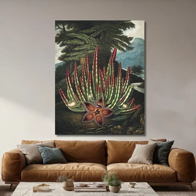 Le Stapelia Porteur D'Asticots Du Temple De Flora Robert John Thornton