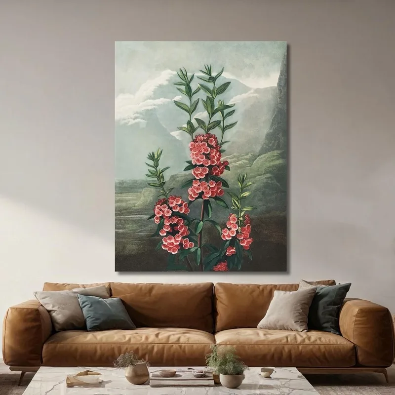 La Kalmia De Hojas Estrechas Del Templo De Flora Robert John Thornton