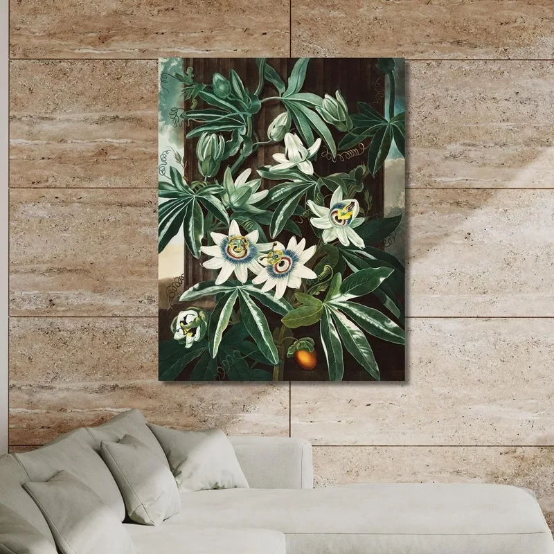 Die Passiflora Cerulea Aus Dem Tempel Der Flora Robert John Thornton