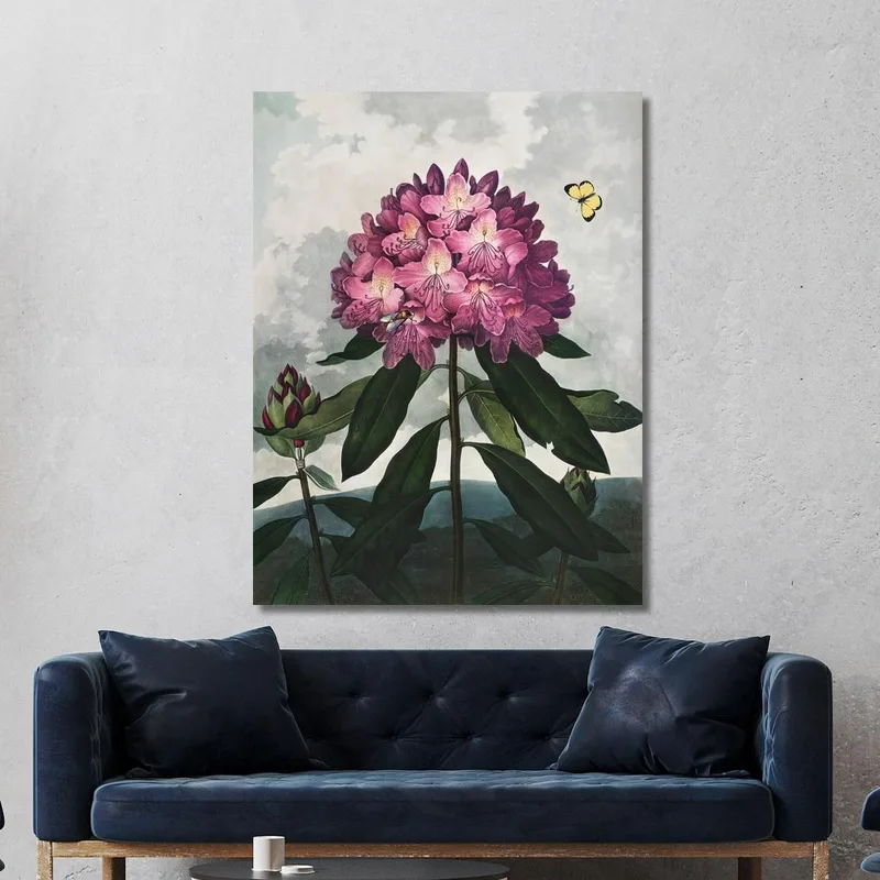 The Pontic Rhododendron From The Temple Of Flora Robert John Thornton