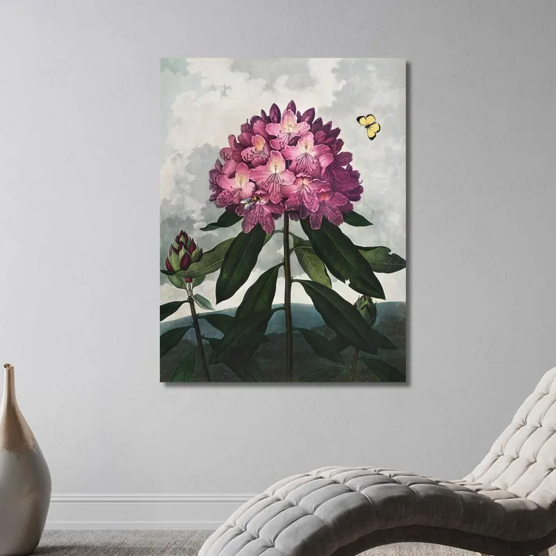 The Pontic Rhododendron From The Temple Of Flora Robert John Thornton