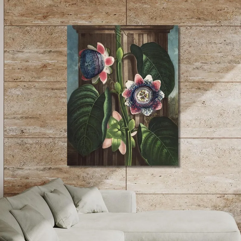 Die Viereckige Passionsblume Aus Dem Tempel Der Flora Robert John Thornton
