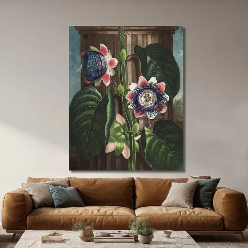Die Viereckige Passionsblume Aus Dem Tempel Der Flora Robert John Thornton