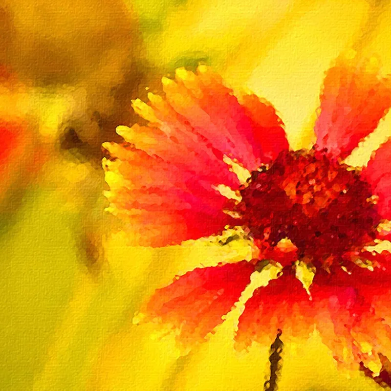 Quadro Astratto Fiori Di Campo