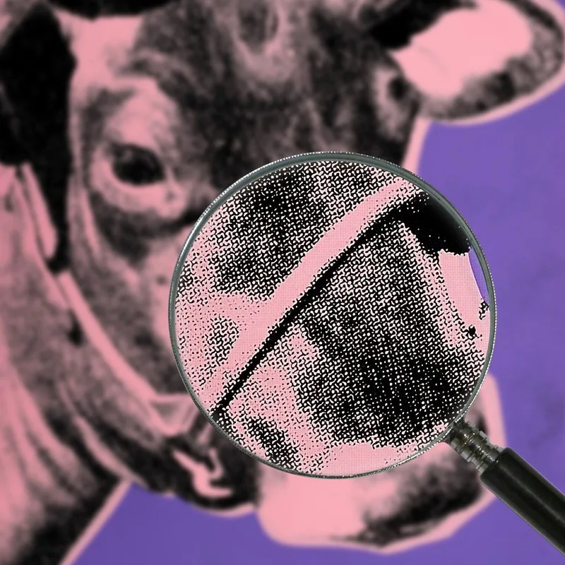 Cow 7 1966 Andy Warhol