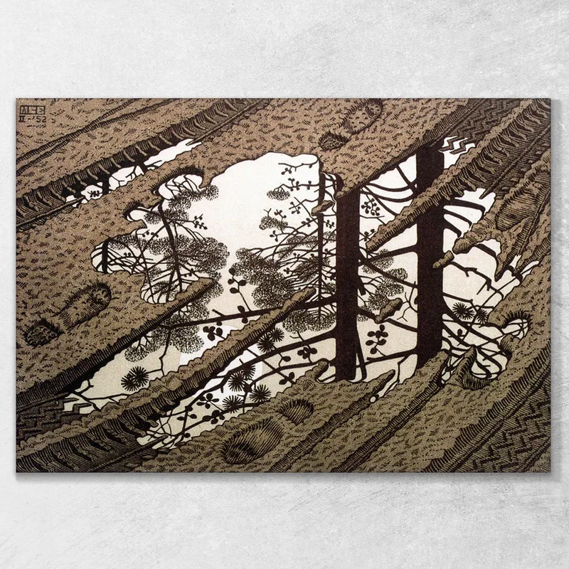Puddle Escher Maurits Cornelis