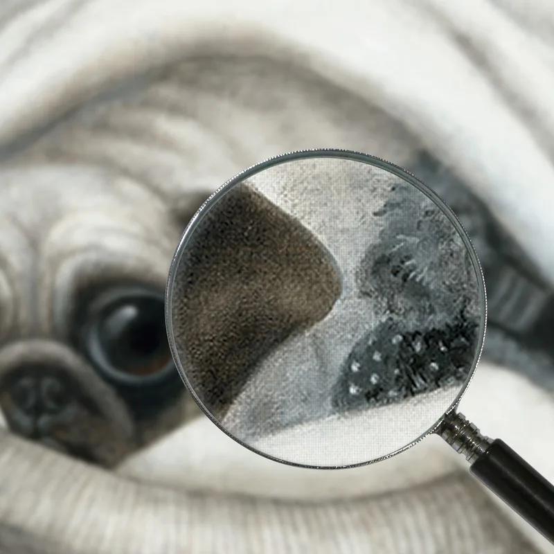 Pug Y Búsqueda Margaret Keane
