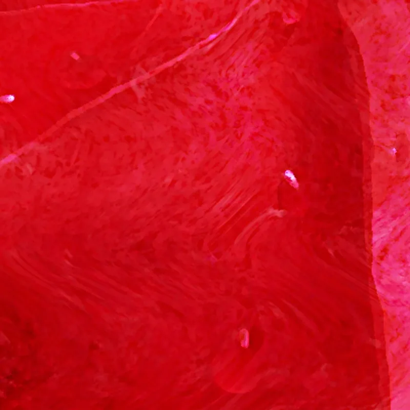 Abstract Painting Lonely Rose