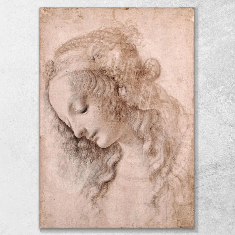 Woman'S Head Leonardo Da Vinci