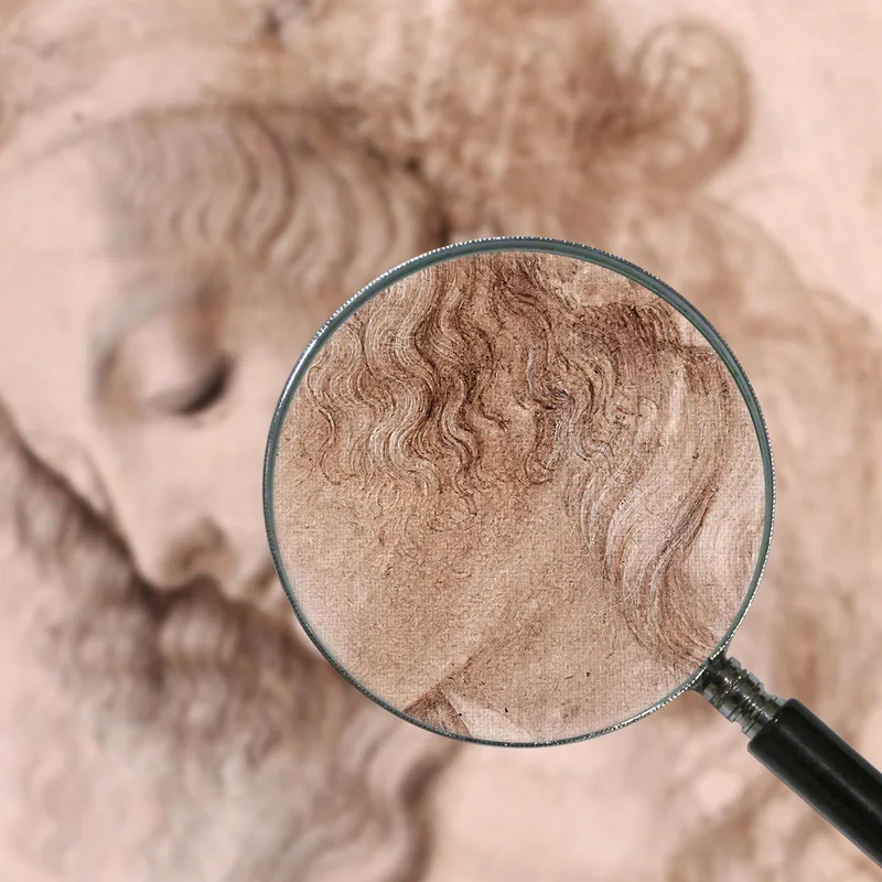 Woman'S Head Leonardo Da Vinci