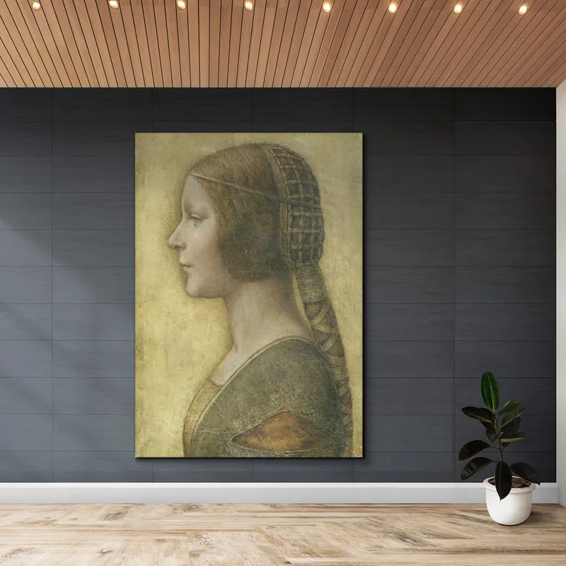 The Beautiful Princess Leonardo Da Vinci