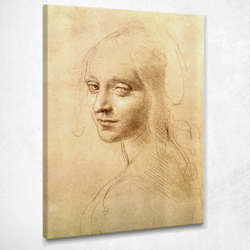 Woman'S Head Leonardo Da Vinci canvas print