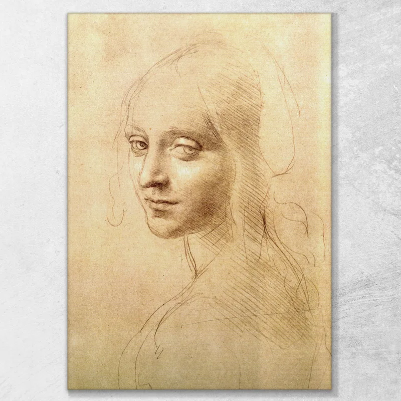 Woman'S Head Leonardo Da Vinci