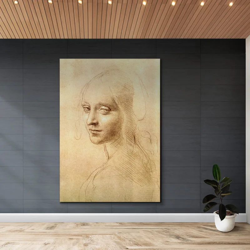 Woman'S Head Leonardo Da Vinci