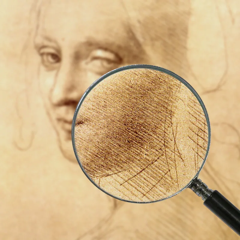 Woman'S Head Leonardo Da Vinci