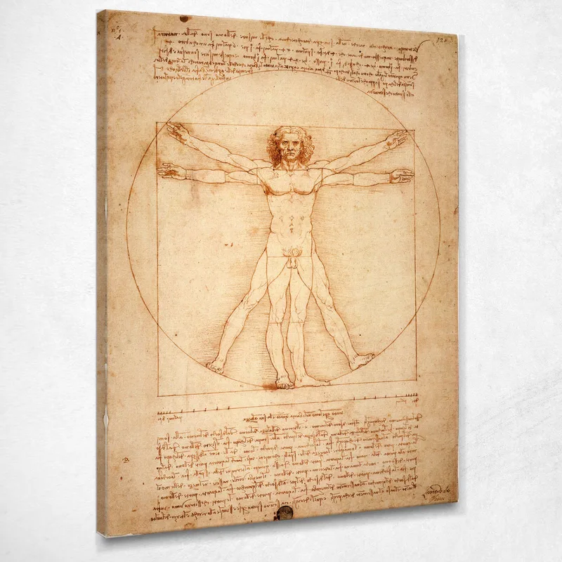 L'Homme De Vitruve Leonardo Da Vinci tableau impression sur toile