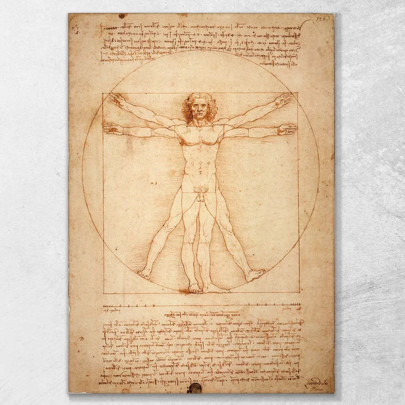 Vitruvian Man Leonardo Da Vinci