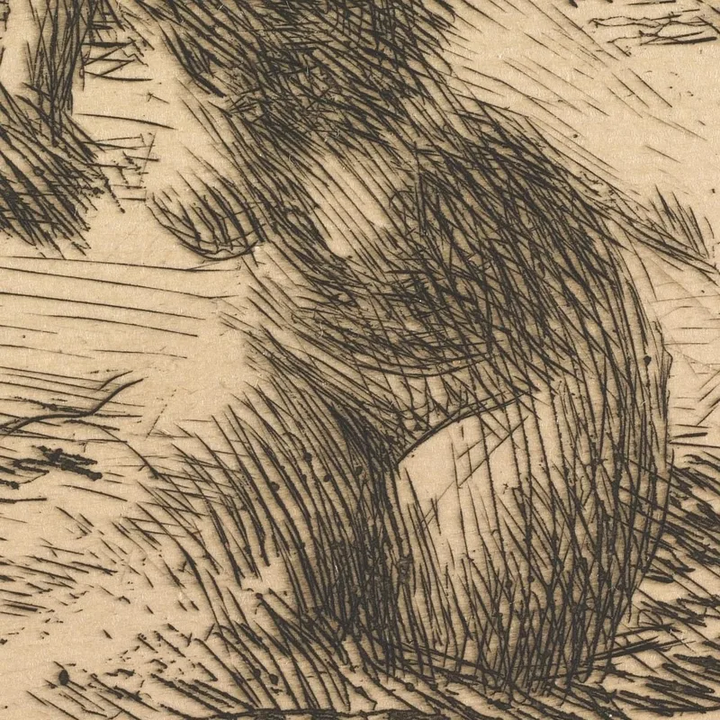 Controcorrente Anders Zorn quadro stampa su tela