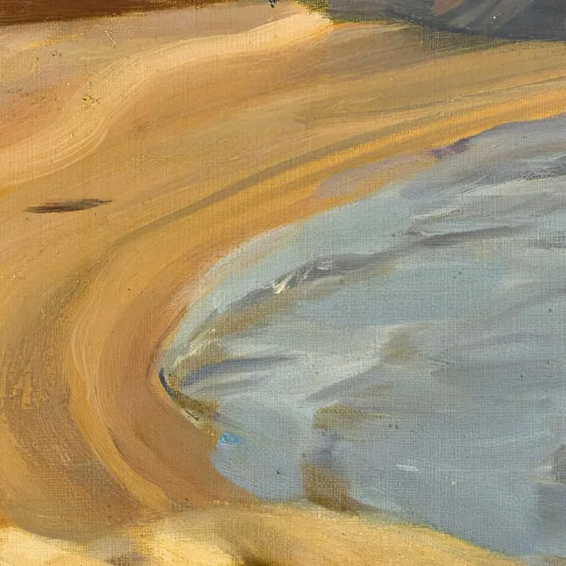 En La Playa Anders Zorn