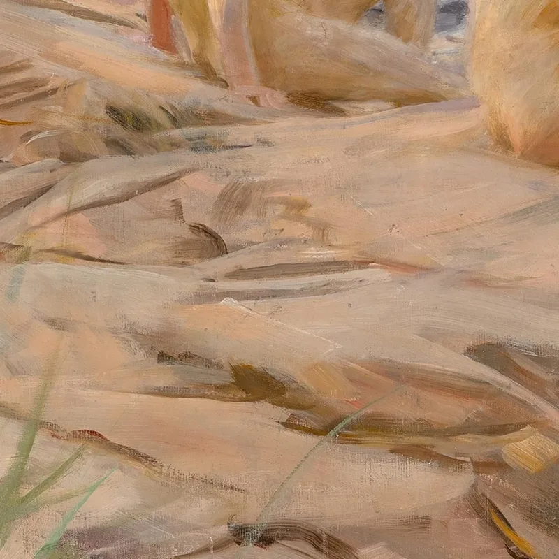 All'Aperto Anders Zorn quadro stampa su tela
