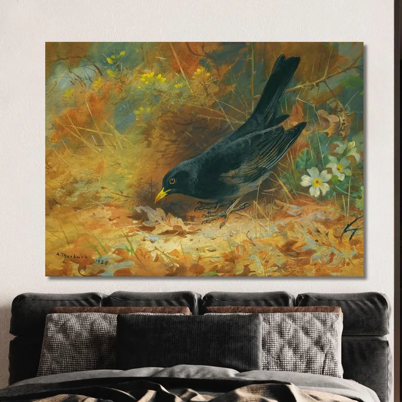 Blackbird Archibald Thorburn