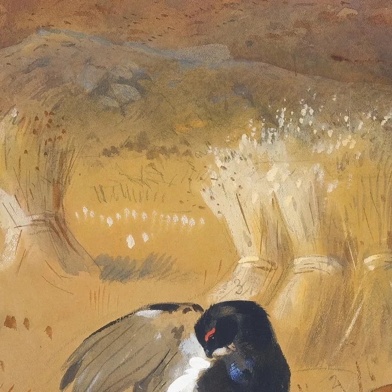 Urogallo En Un Campo Archibald Thorburn
