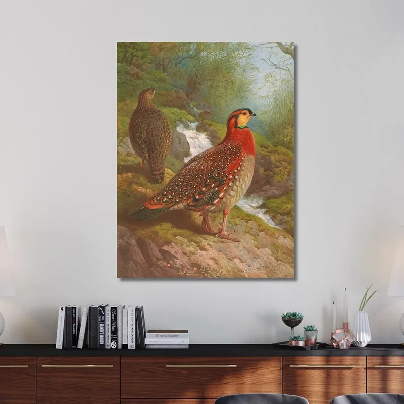 Blyth'S Tragopan Archibald Thorburn