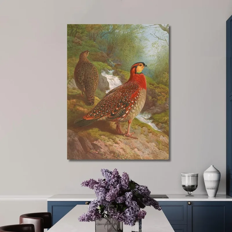 Blyth'S Tragopan Archibald Thorburn