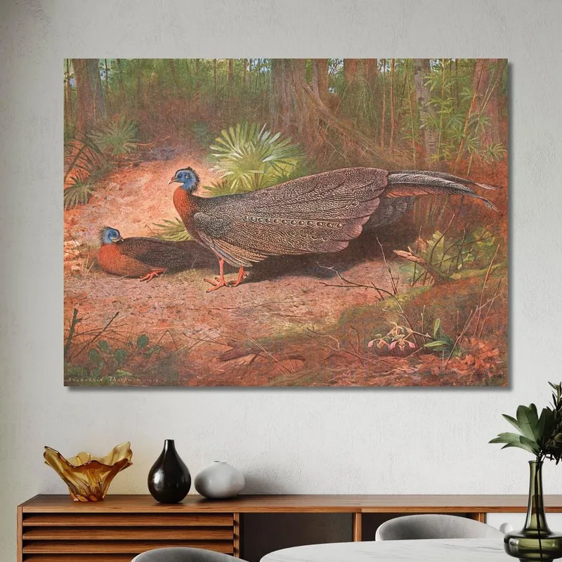 Bornean Argus Pheasant Archibald Thorburn