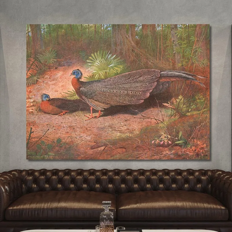 Bornean Argus Pheasant Archibald Thorburn