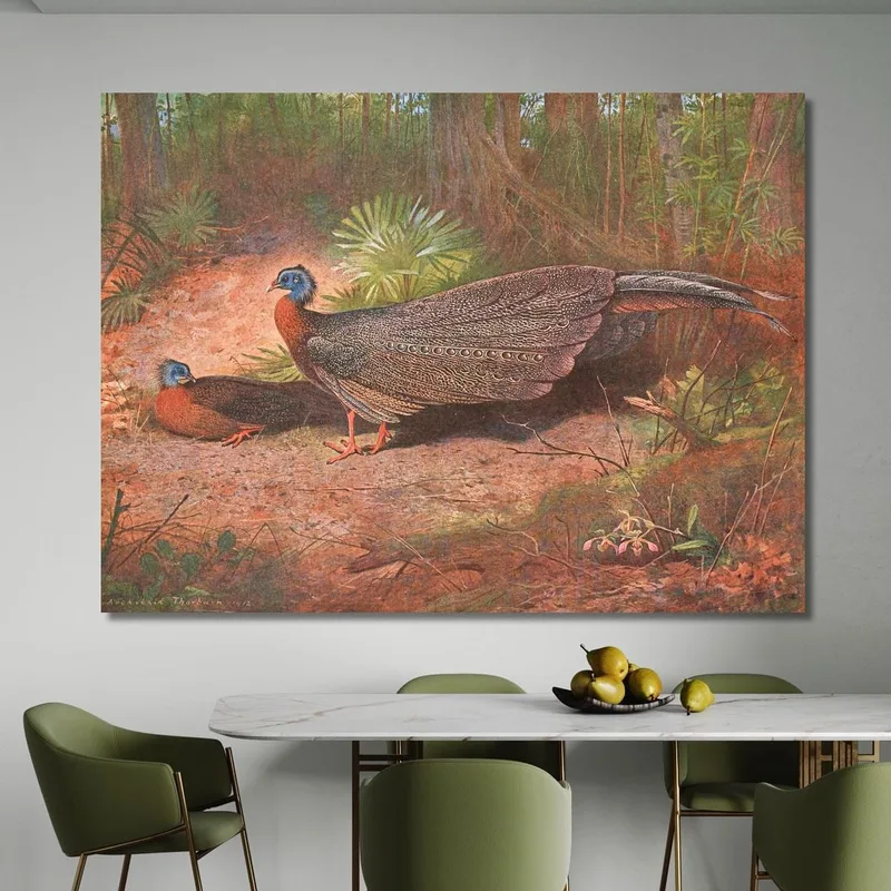 Bornean Argus Pheasant Archibald Thorburn