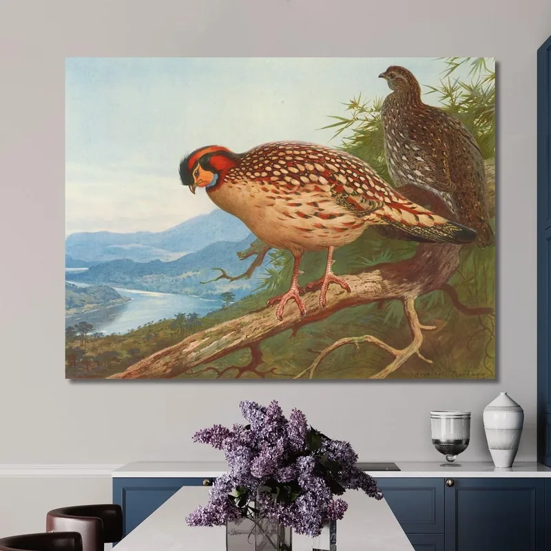 Tragopan De Cabot Archibald Thorburn