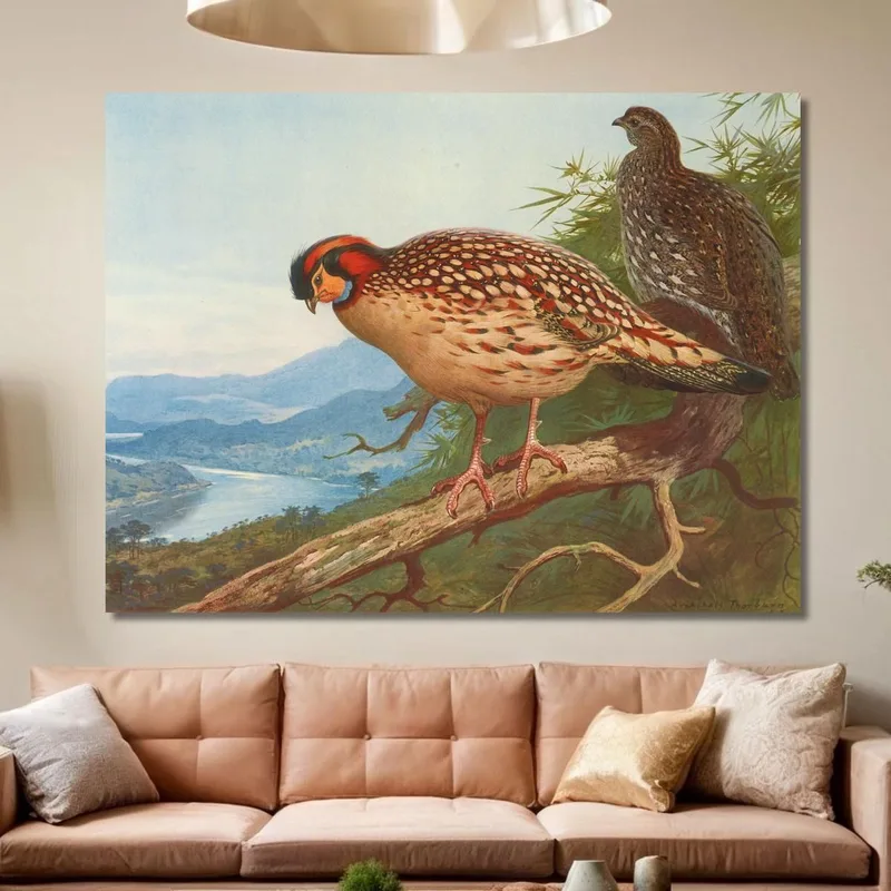 Tragopan De Cabot Archibald Thorburn