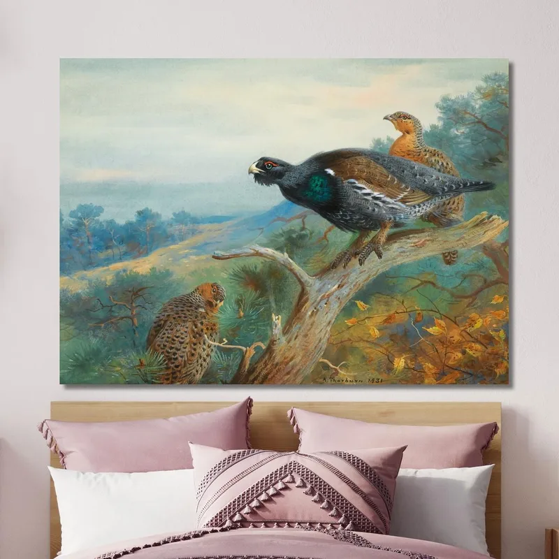 Auerhuhn Archibald Thorburn