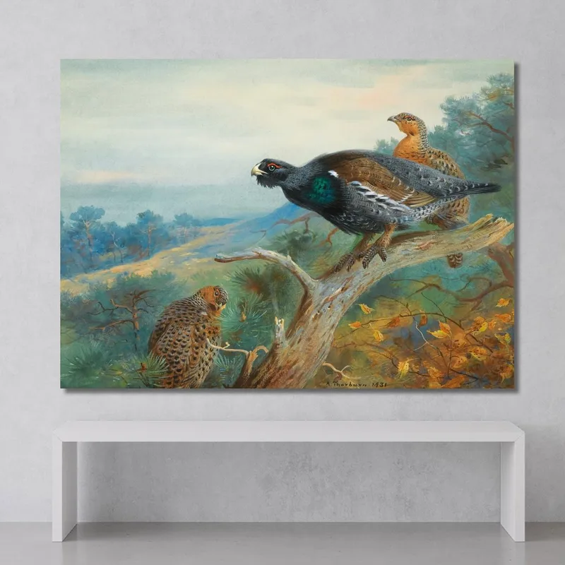 Auerhuhn Archibald Thorburn