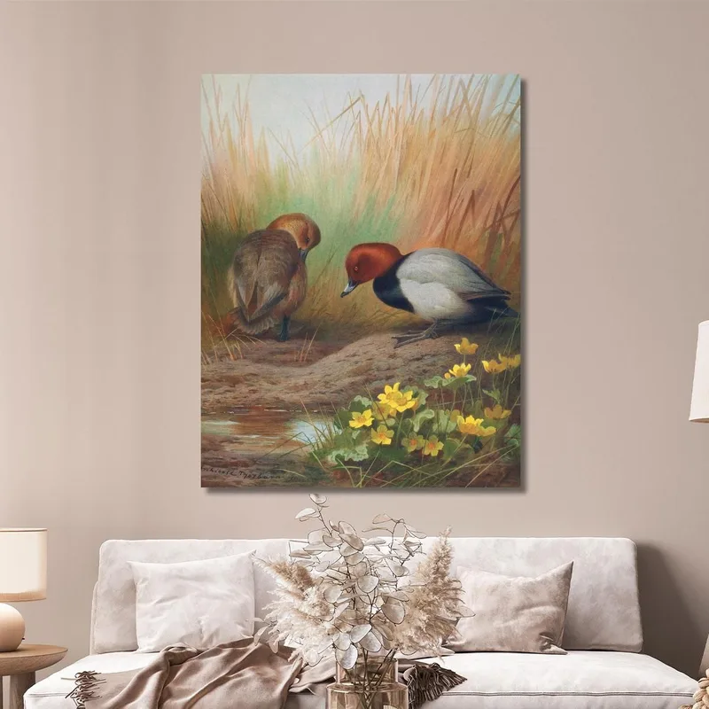 Common Pochard Archibald Thorburn