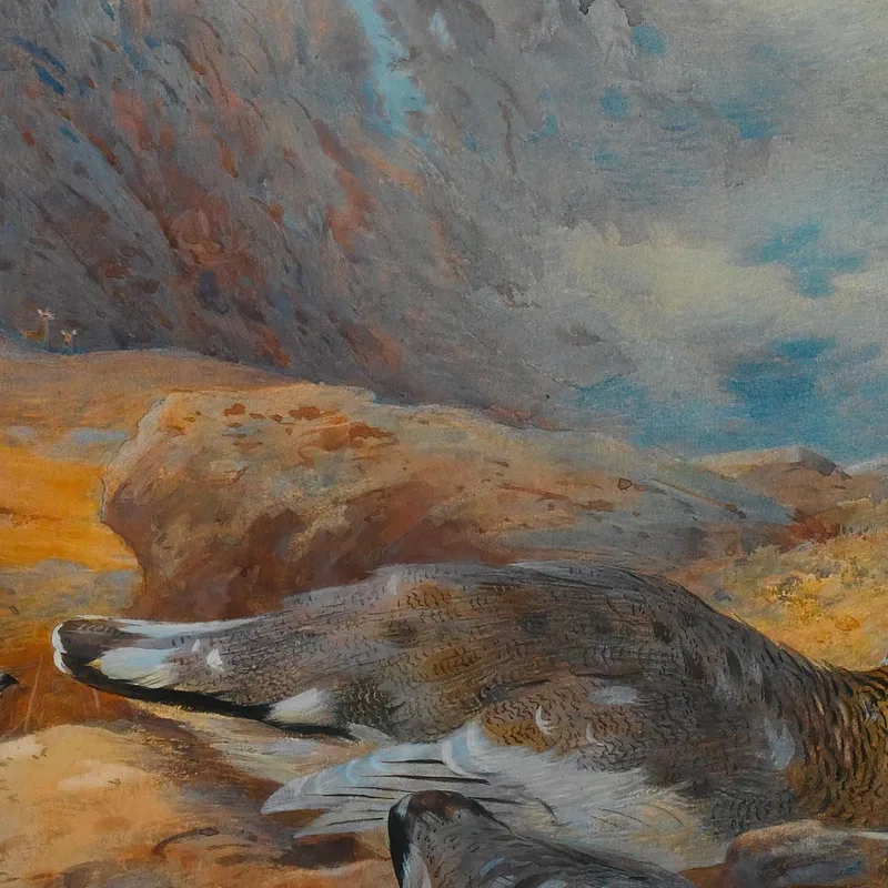 Danger Aloft Ptarmigan Archibald Thorburn