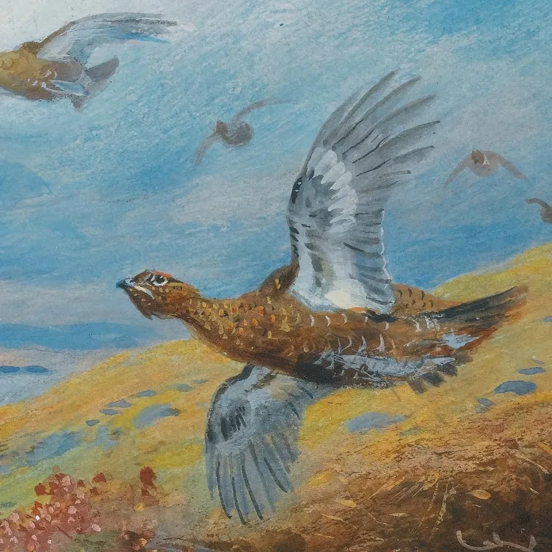 Battue De Lagopèdes Archibald Thorburn