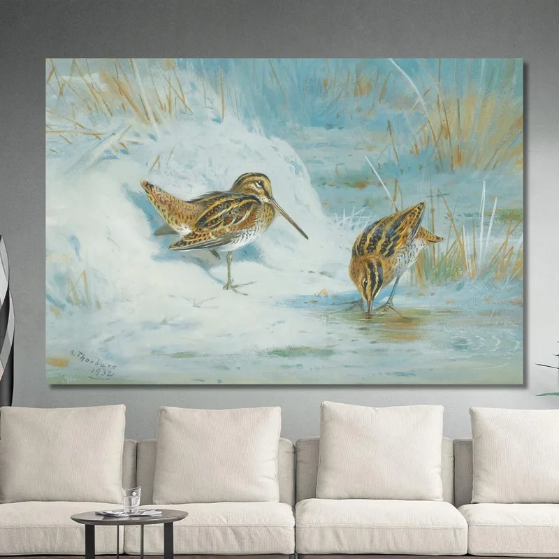Congelado: Agachadiza Archibald Thorburn