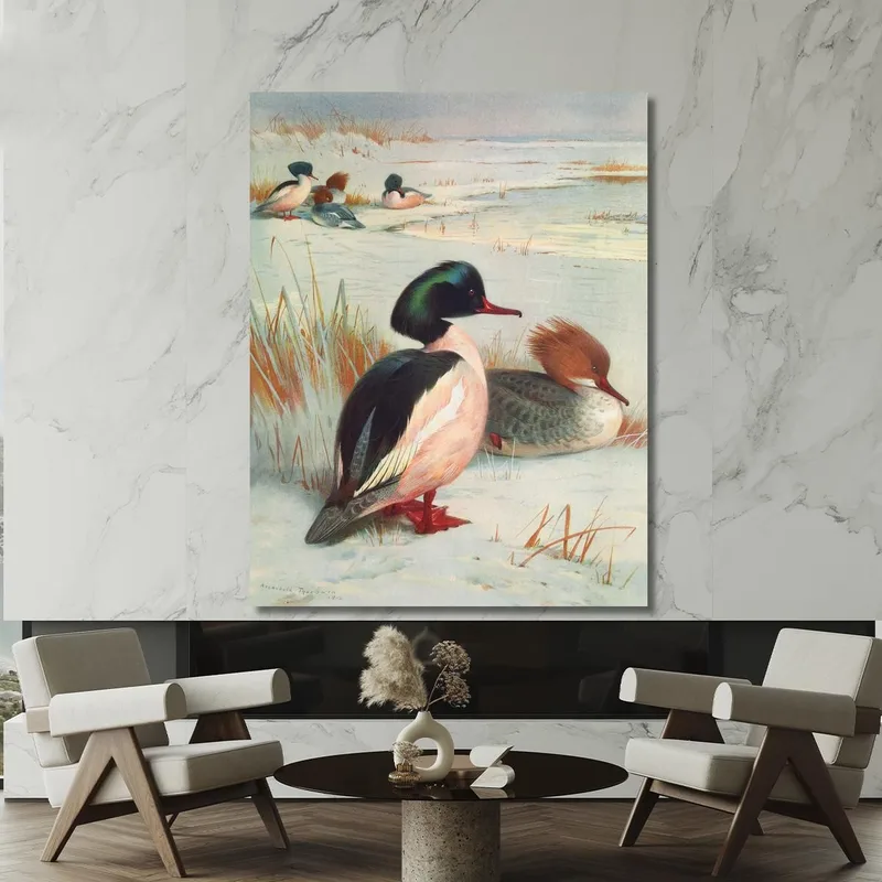 Serreta Grande Archibald Thorburn