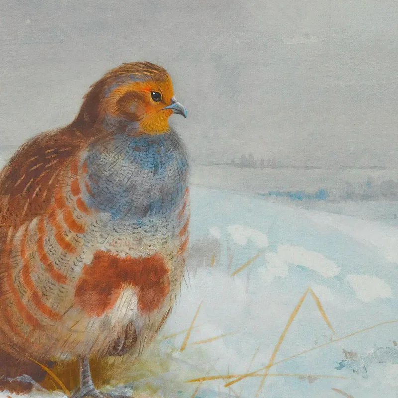 Tempi Difficili: Pernici E Una Lepre Archibald Thorburn