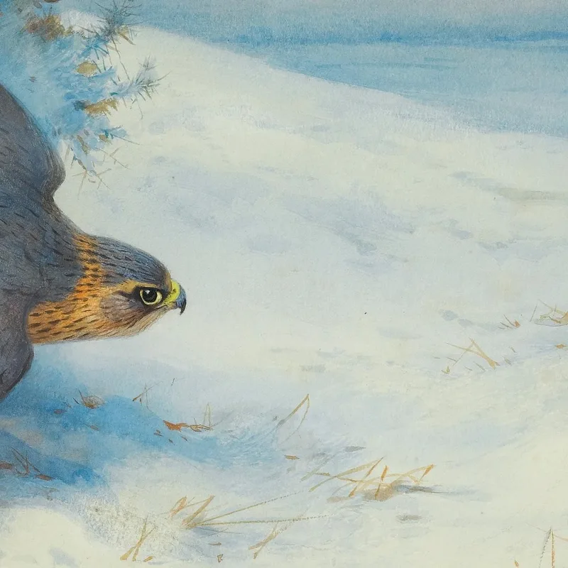 Merlin And Larks Archibald Thorburn