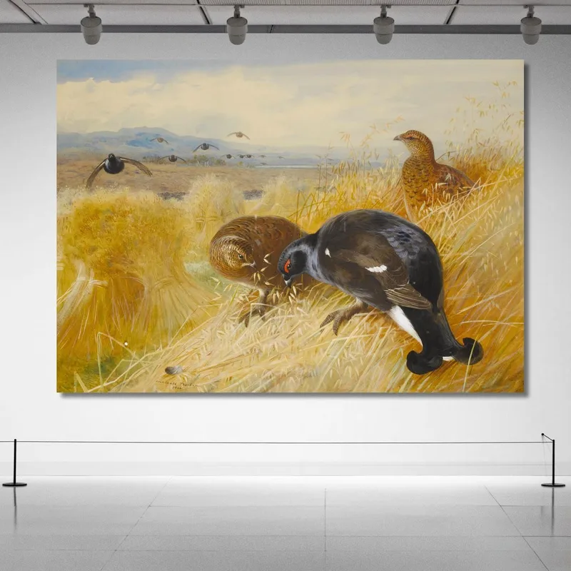 En Los Almiares: Urogallo Archibald Thorburn